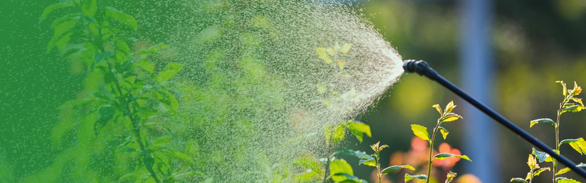 Sự khác biệt giữa máy thổi sương và máy phun điện là gì?